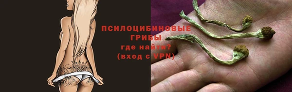 соль курить ск Горнозаводск
