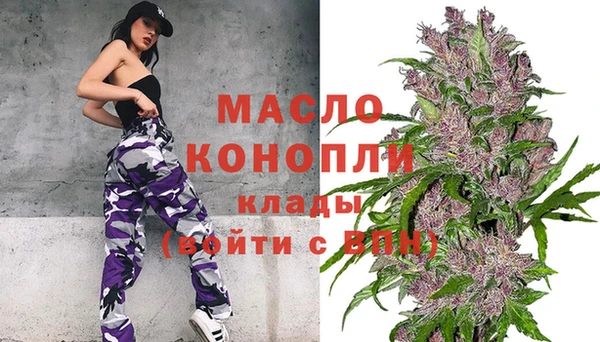 гидра Горно-Алтайск