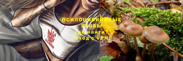 соль курить ск Горнозаводск