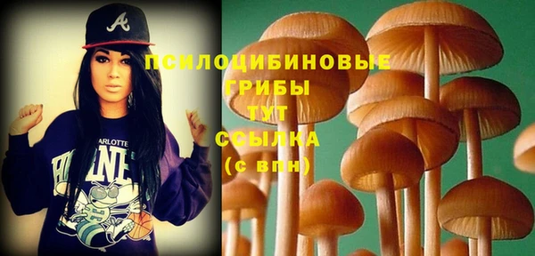 соль курить ск Горнозаводск