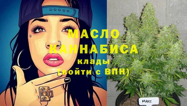 гидра Горно-Алтайск