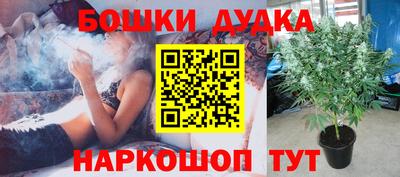 шишки Абинск